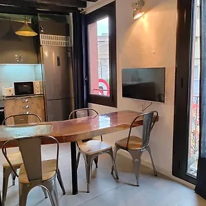 Apartamento Taocasa Metal, Olot